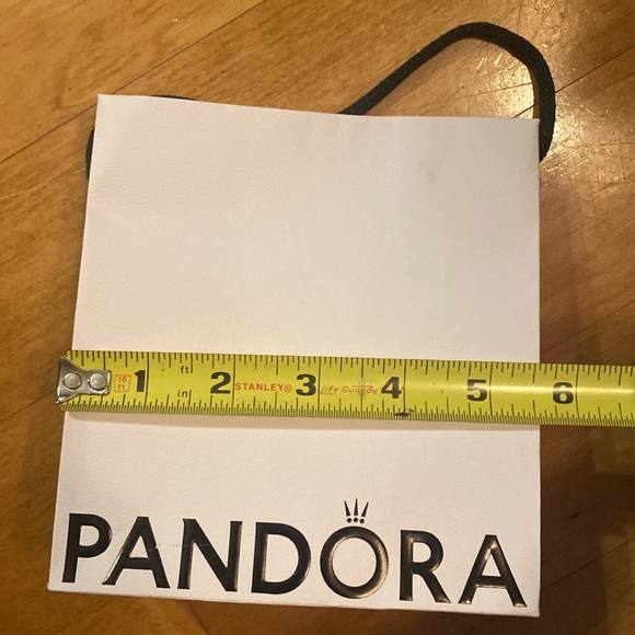 PANDORA GIFT BAG - Picture 4 of 4